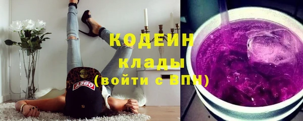 индика Горно-Алтайск