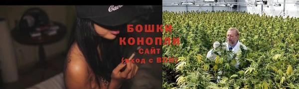 молекула духа Горняк