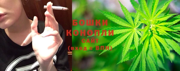 индика Горно-Алтайск