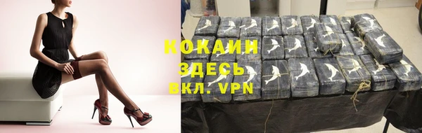 индика Горно-Алтайск