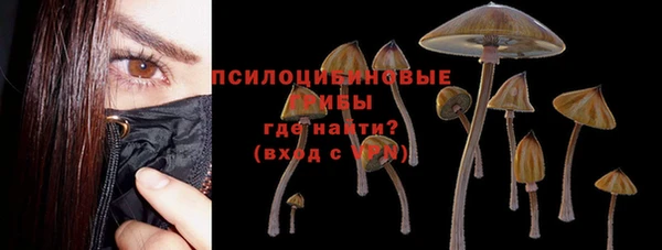 молекула духа Горняк