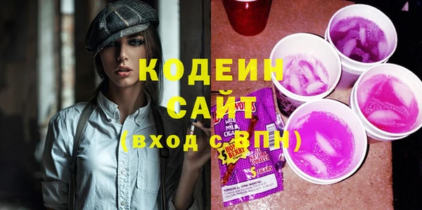 индика Горно-Алтайск