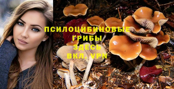 индика Горно-Алтайск