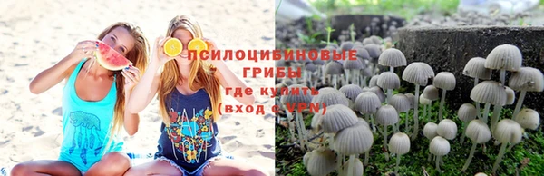 молекула духа Горняк