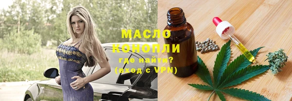 молекула духа Горняк