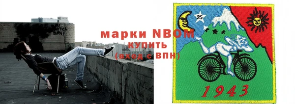 индика Горно-Алтайск