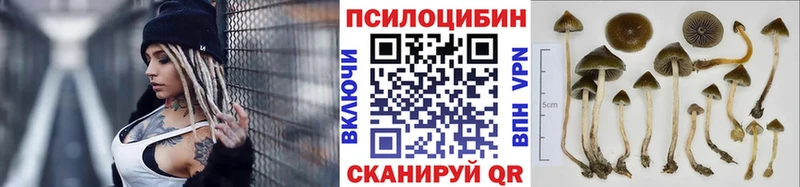 Галлюциногенные грибы GOLDEN TEACHER  Купить закладки  Рославль 